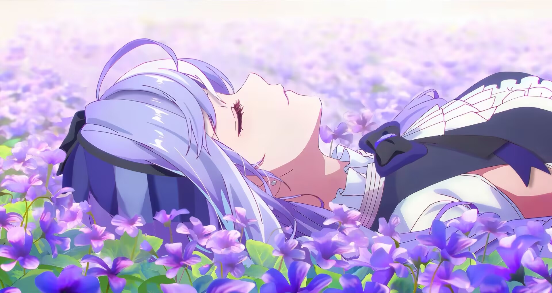 【12月3日更新】绝区零MOD整合包豪华版(伊德海莉/琉音)-红樱资源站